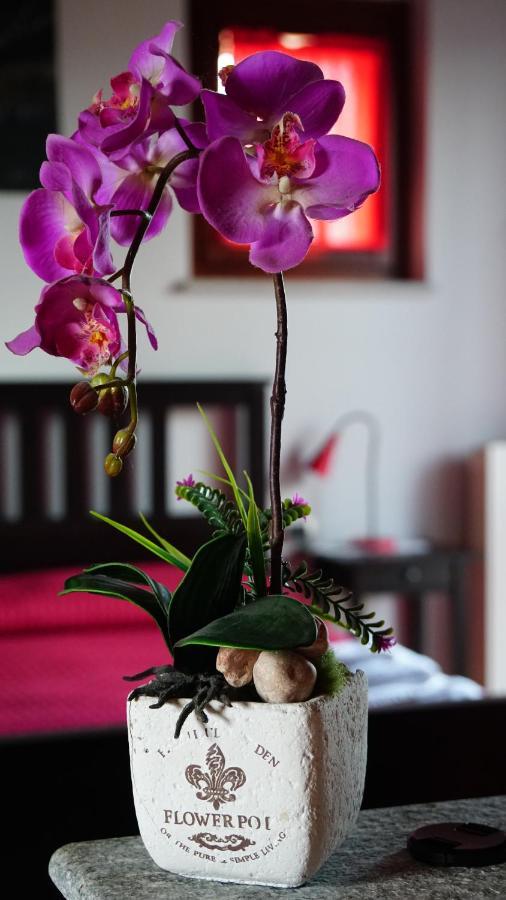 קונאו Bed & Breakfast Milu מראה חיצוני תמונה