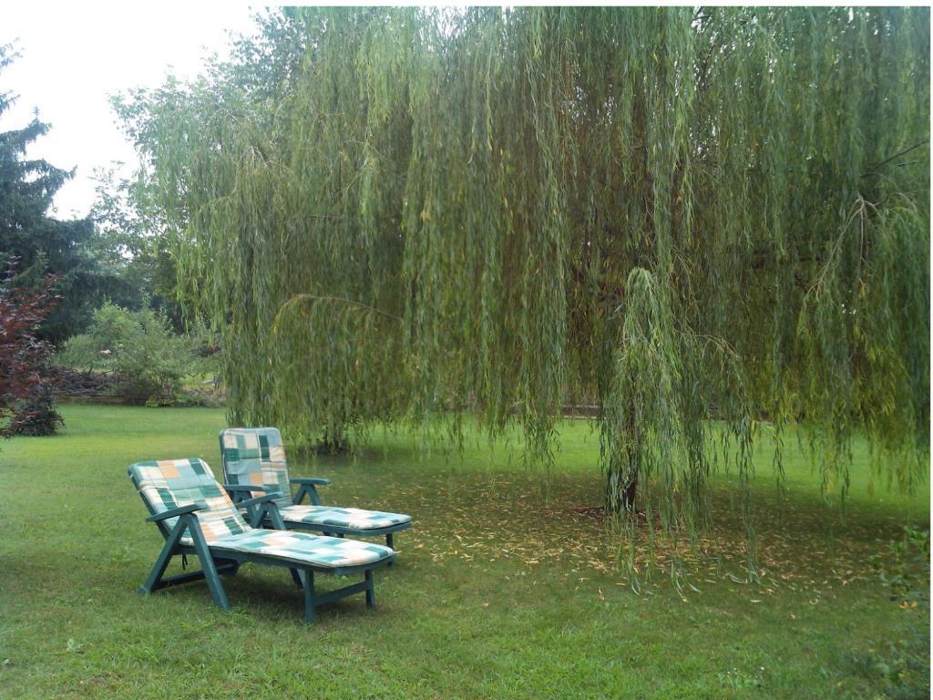 קונאו Bed & Breakfast Milu מראה חיצוני תמונה